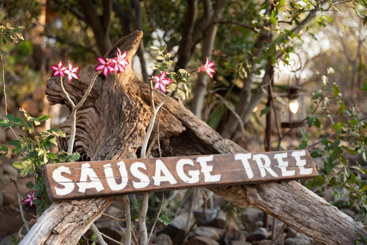 Sausage Tree Safari Camp Balule Game Reserve Eksteriør bilde