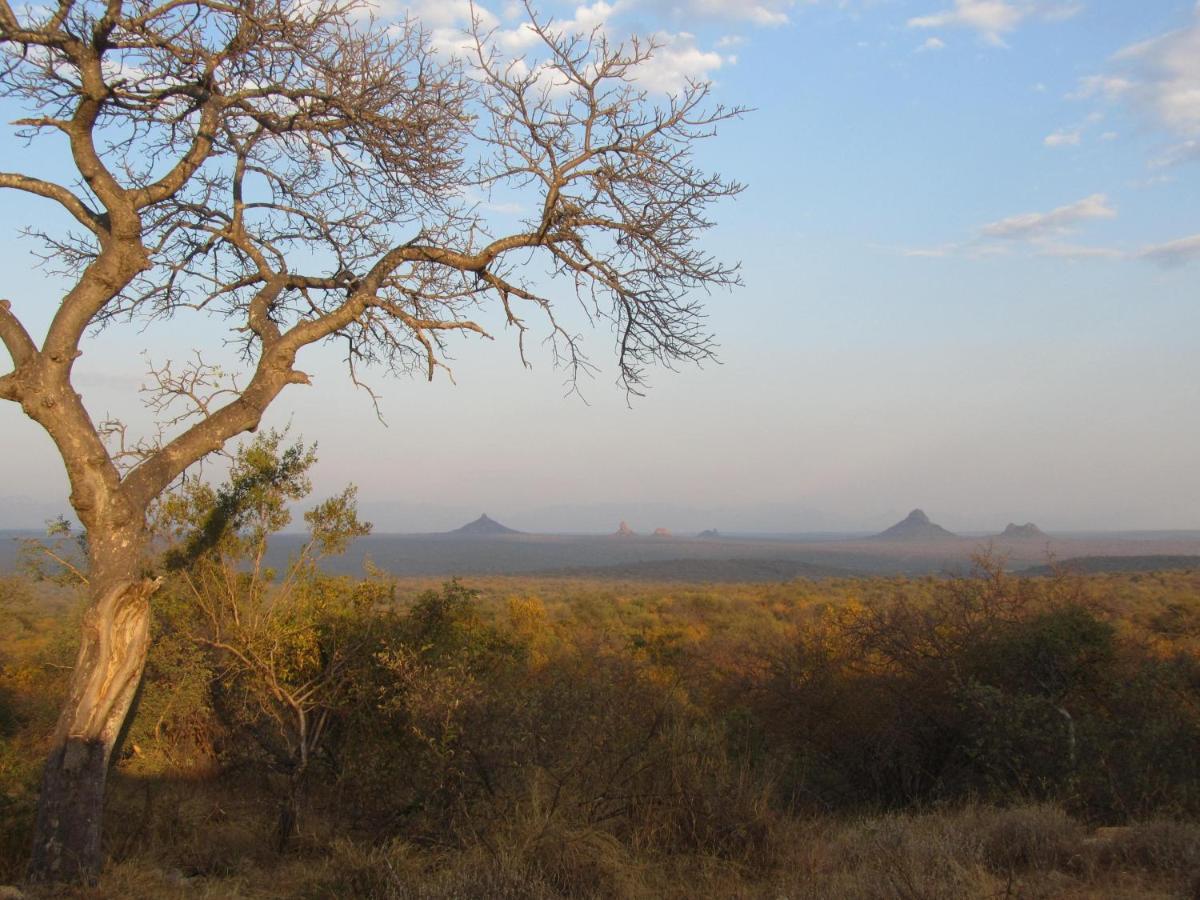 Sausage Tree Safari Camp Balule Game Reserve Eksteriør bilde