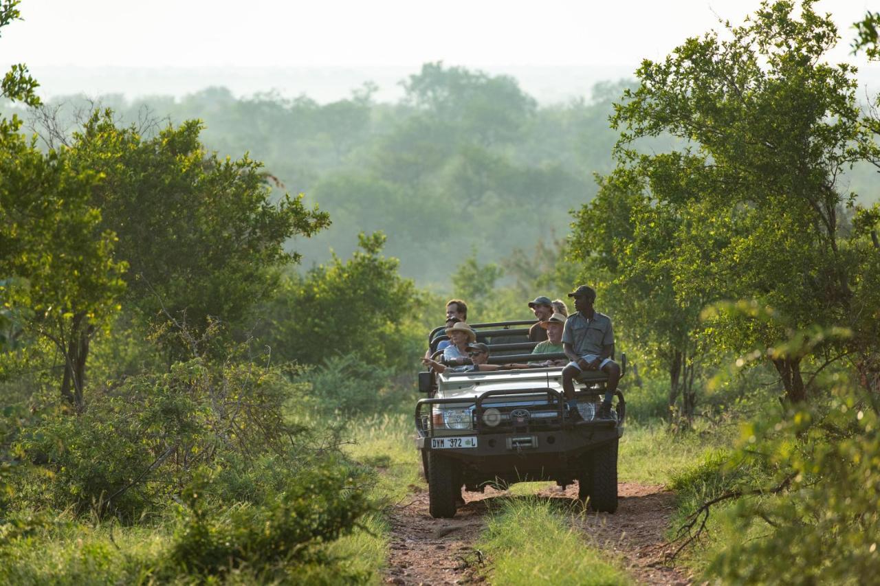 Sausage Tree Safari Camp Balule Game Reserve Eksteriør bilde