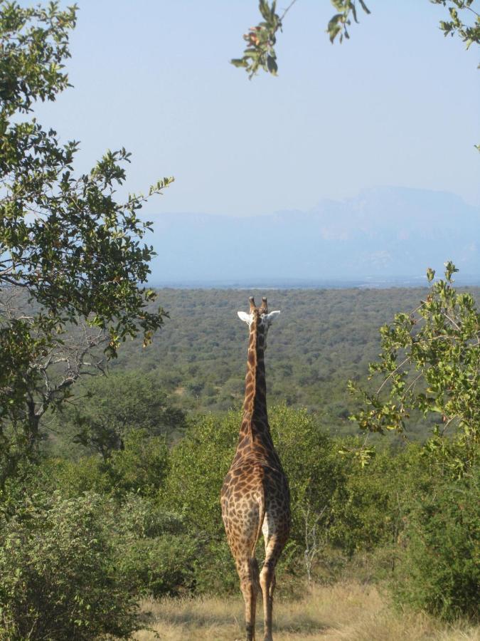 Sausage Tree Safari Camp Balule Game Reserve Eksteriør bilde