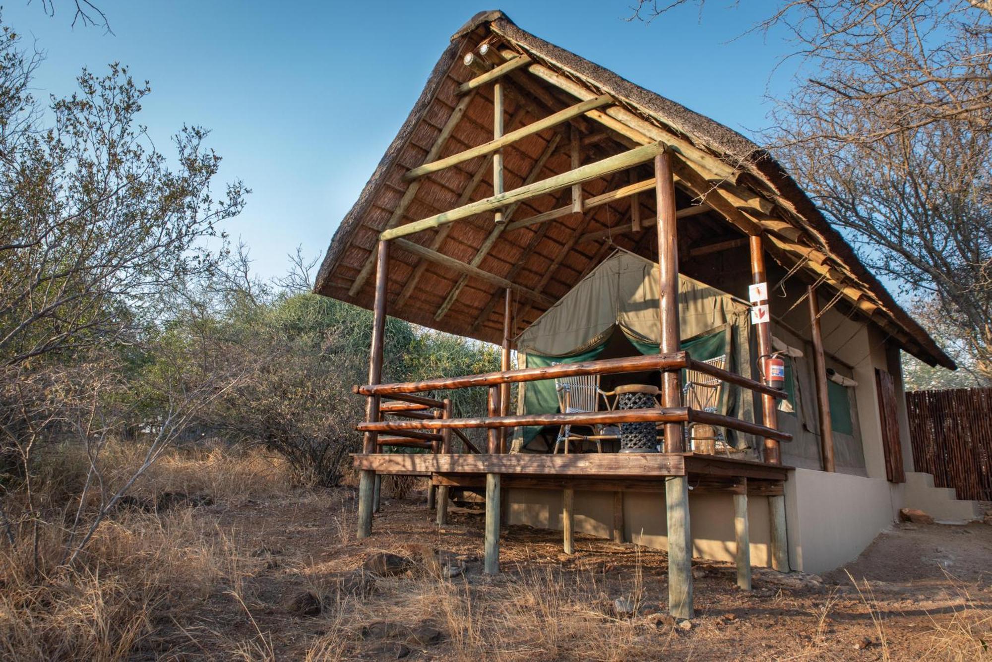 Sausage Tree Safari Camp Balule Game Reserve Eksteriør bilde