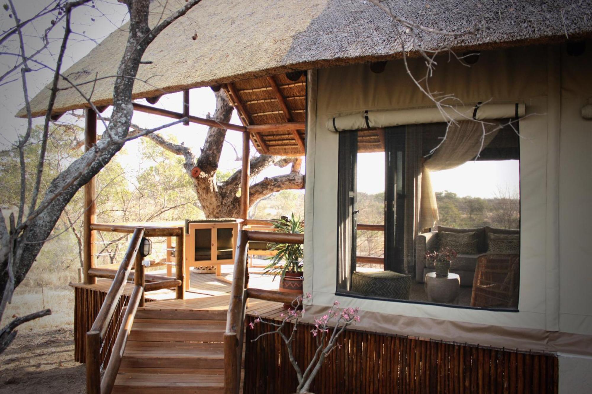 Sausage Tree Safari Camp Balule Game Reserve Eksteriør bilde